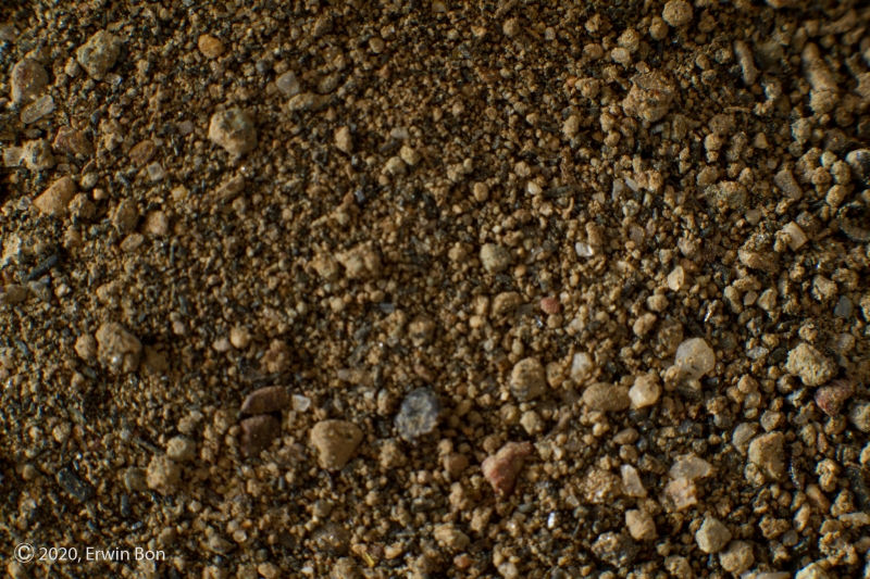 Duitsland, Oberdrenbach, Perlerkopf